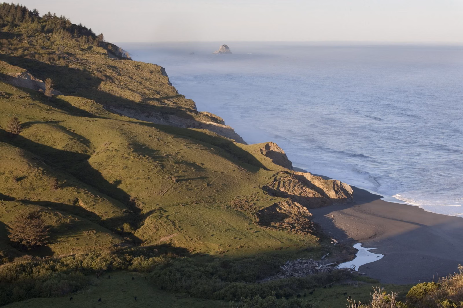 A green coastal headland above a creek mouth and beach on the northern California coast